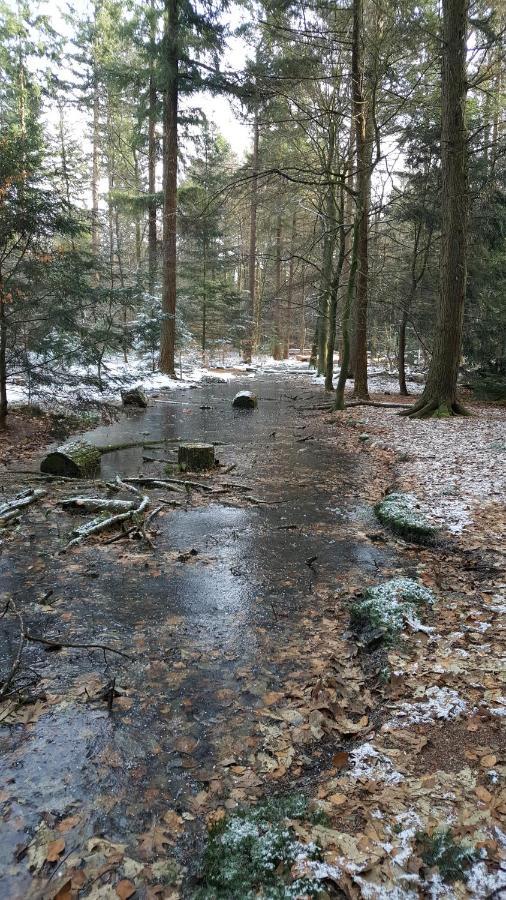 Reewold Veluwe Villa Putten Kültér fotó