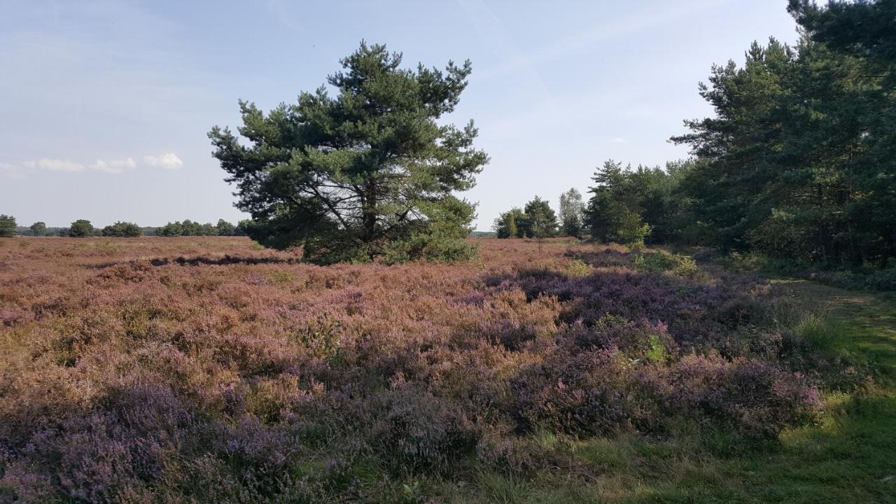 Reewold Veluwe Villa Putten Kültér fotó