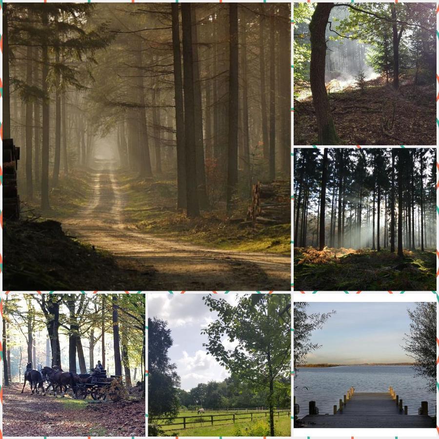 Reewold Veluwe Villa Putten Kültér fotó