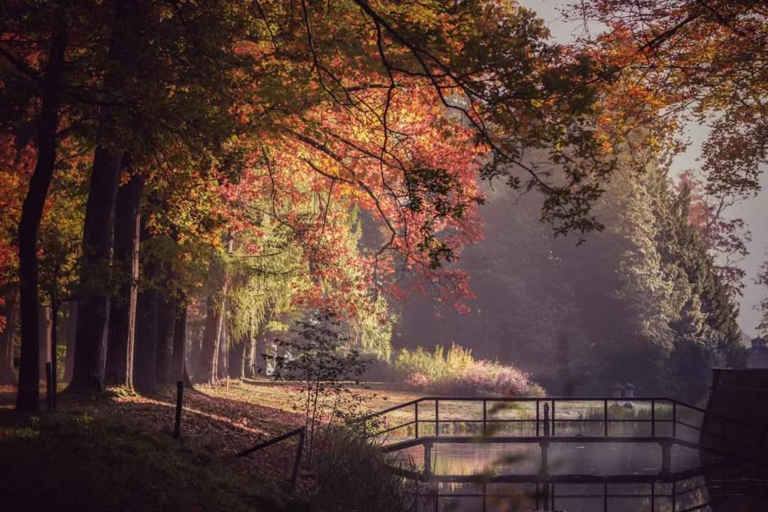 Reewold Veluwe Villa Putten Kültér fotó