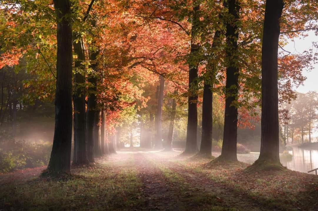 Reewold Veluwe Villa Putten Kültér fotó